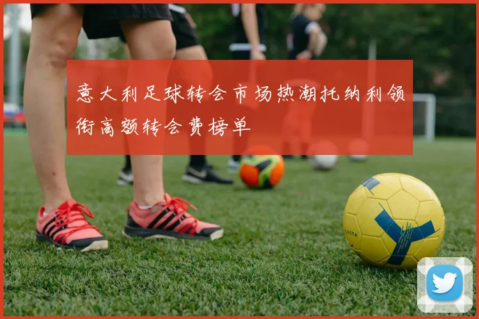 意大利足球转会市场热潮托纳利领衔高额转会费榜单