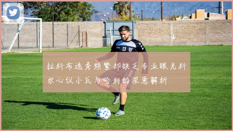 拉科布选秀频繁却缺乏专业眼光科尔心仪小瓦与哈利的深意解析