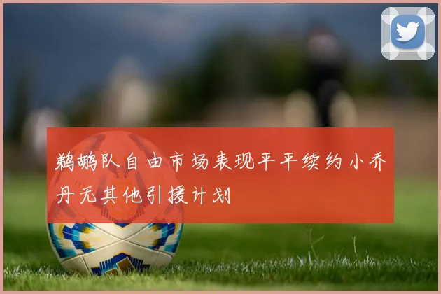 鹈鹕队自由市场表现平平续约小乔丹无其他引援计划